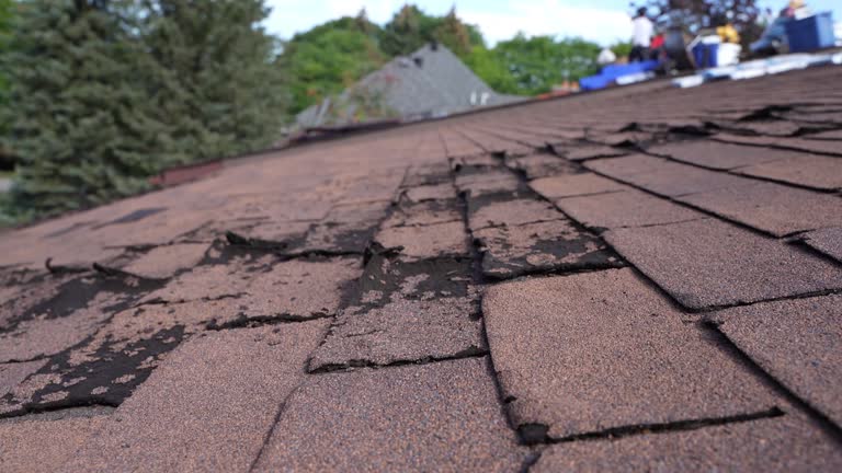 Best Metal Roofing Installation  in Lordship, CT